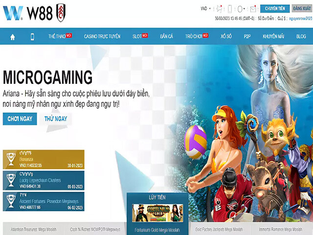 Giới thiệu sảnh chơi microgaming w88